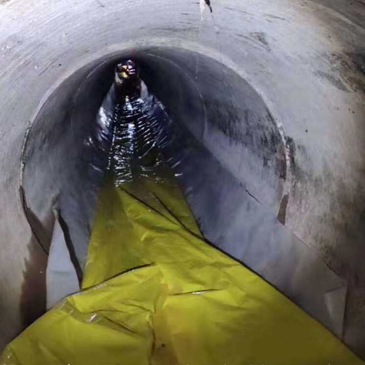 皇姑管道光固化修复